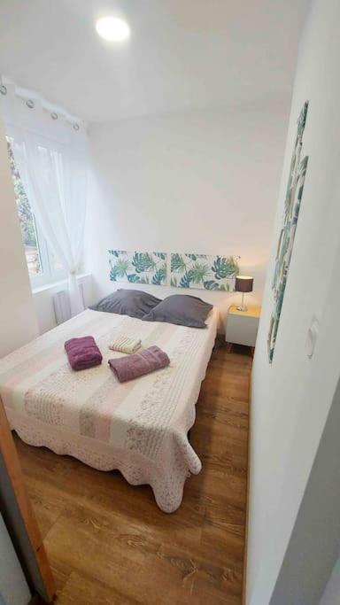 Appartements Cosy 贝尔福 外观 照片